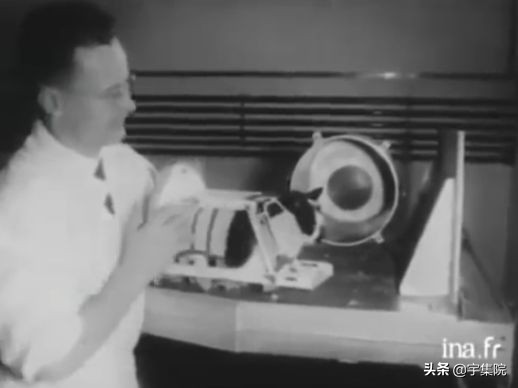 猫也曾上过太空?全世界仅有一只,还是黑猫警长同款