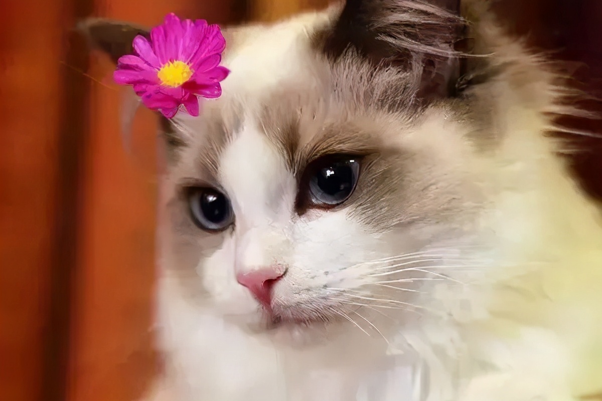 治愈洁癖强迫症的方法,洁癖强迫症治愈方法