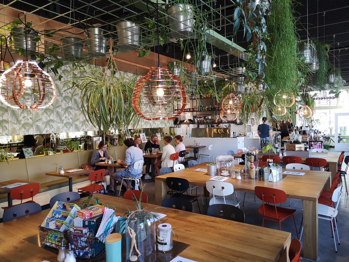 荷兰郁金香一日游攻略,荷兰郁金香旅游