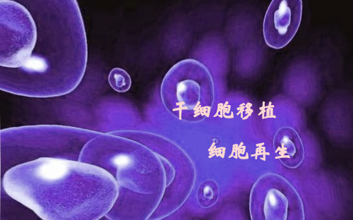 医学发展感悟,回顾与前瞻对未来百年的思考