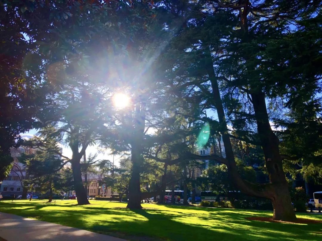 美国西海岸(碰撞)古巴哈瓦那