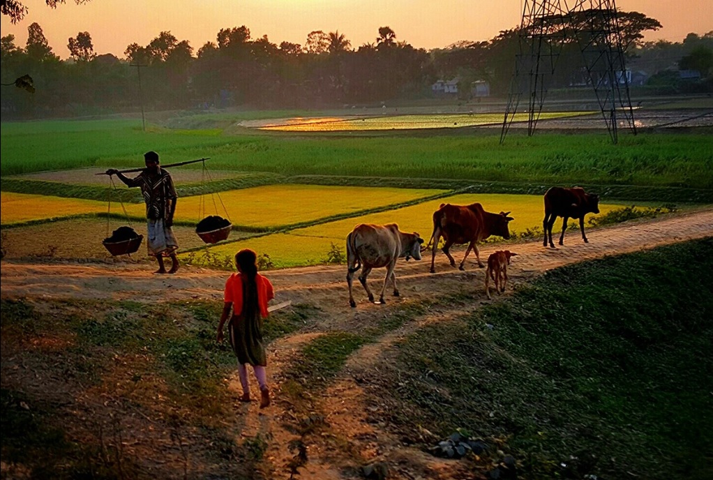地处南亚的孟加拉国，为什么是世界上洪涝灾害最严重的国家？