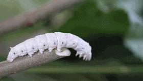 502生产厂家,502源头生产批发厂家