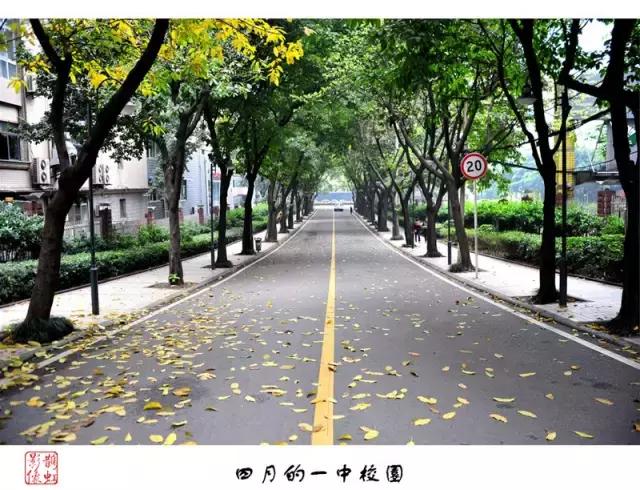 为什么想把孩子送进大学,为什么要把孩子送进好班