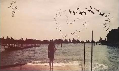 60本必读的最新英语原著,10本必读的书精讲