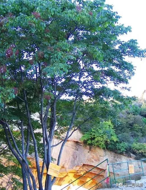 密云探寻历史足迹,密云发现神秘遗址