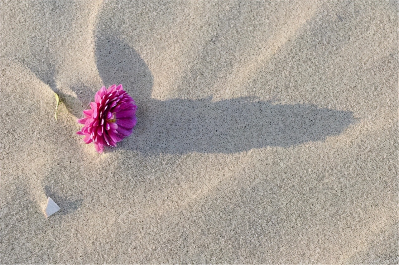 同居过女人心态是怎样的,不要对离过婚的女人有偏见