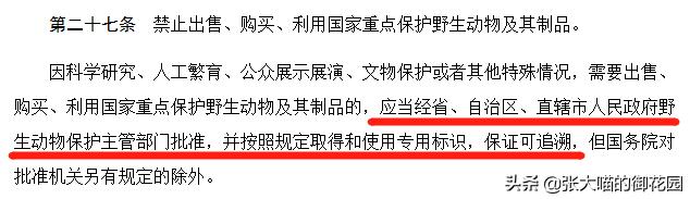 老虎和狮子分离了多久,狮子是百兽之王老虎是森林之王