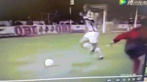 权健主帅,权健主教练卡纳瓦罗