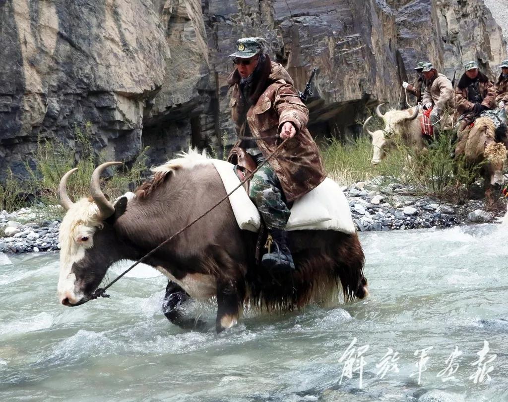 100张中国海防巡逻图,看哭了盘点中国军人的戳泪瞬间