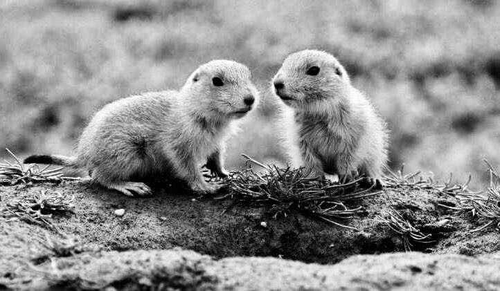 小学难忘的回忆,难忘的小学活作文