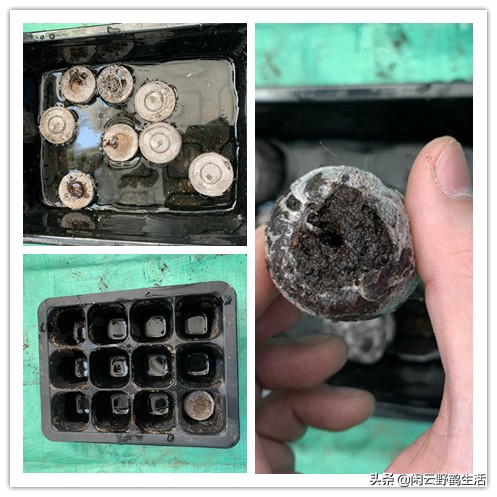 寓教于乐中成长与学习,寓教于乐中得到收获