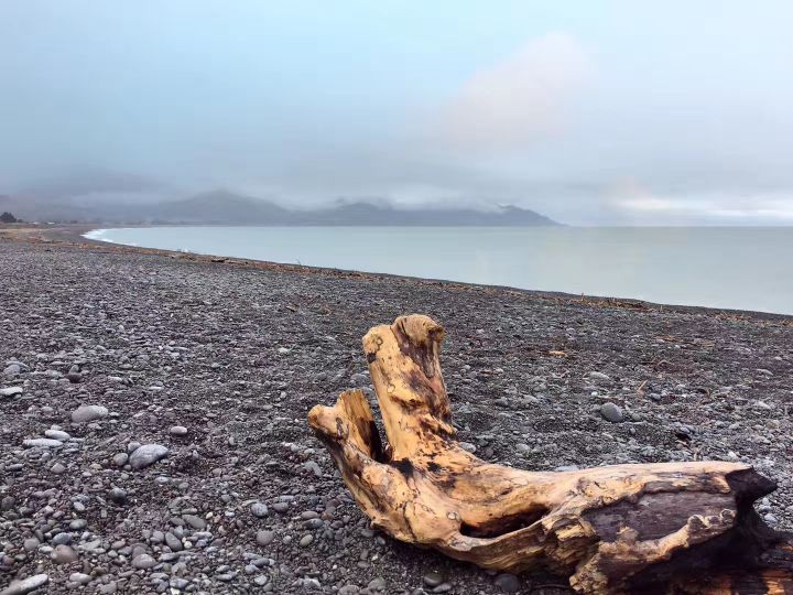 超好用的新西兰自驾攻略（二）——凯库拉