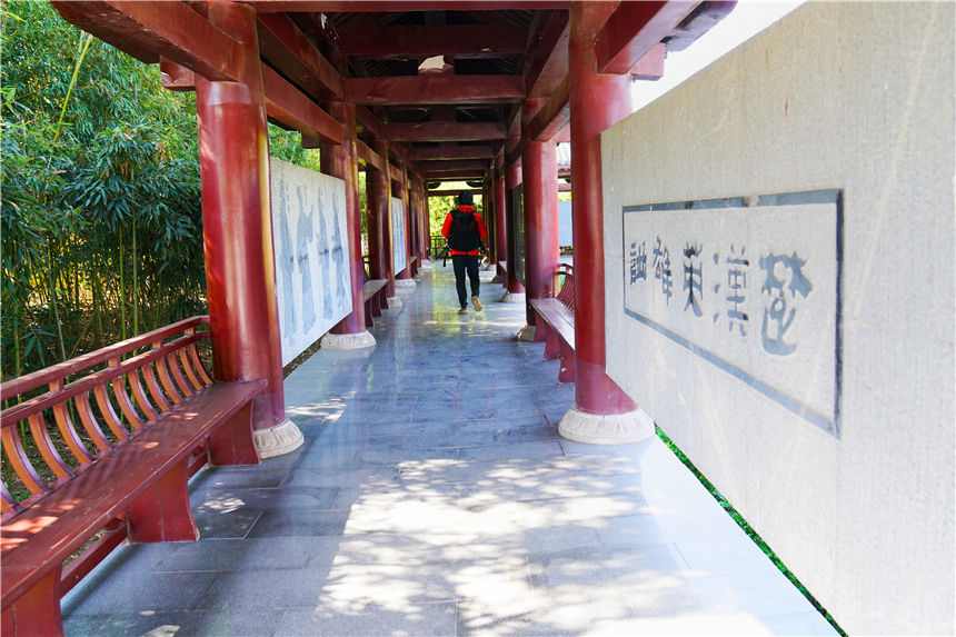 我和宿州有个约会，一场花事，一次慢旅行，探寻最烟火的宿州味道