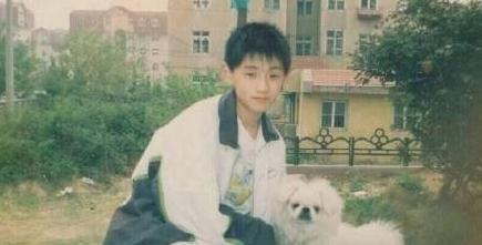 藏獒张继科职业生涯十佳球,赛场上最热血的藏獒张继科是谁