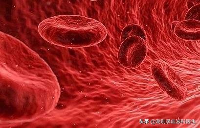 红细胞计数高有什么危害,红细胞计数rbc偏高的危害