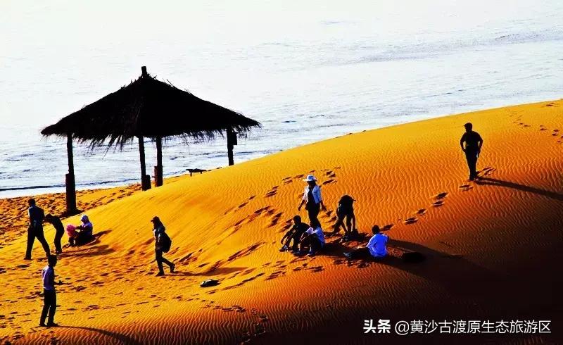 中秋佳节，陪伴家人到宁夏黄沙古渡景区开启畅玩之旅
