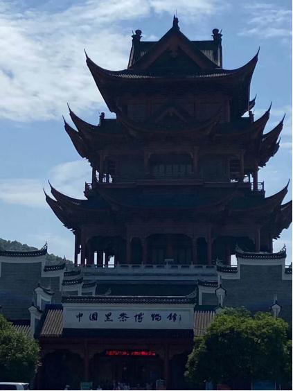 茶马古道制作茶体验,茶马古道茶叶是什么茶