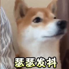 BOSS级湿冷空气来袭！衡阳气温降到个位数，未来一周都是雨雨雨……