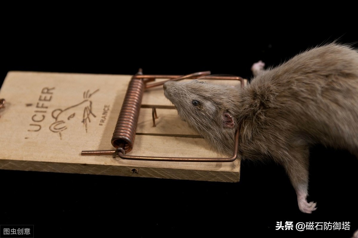 蜀道难讲解视频,蜀道难视频