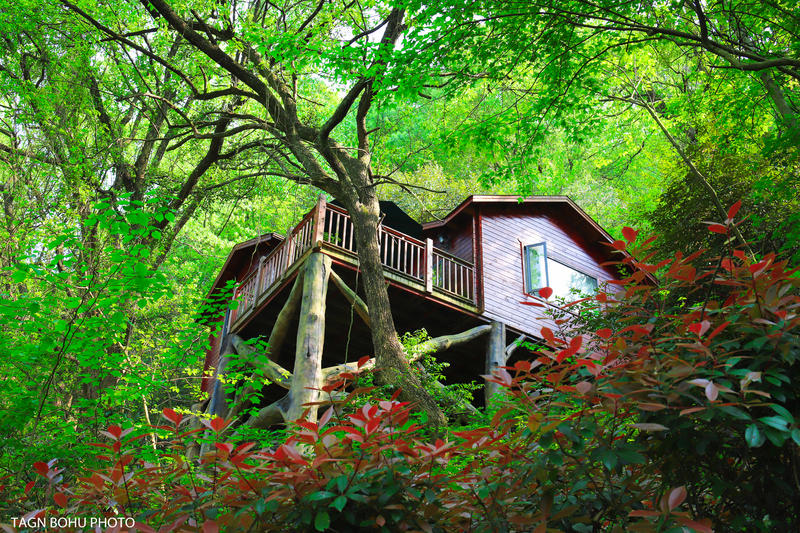 衢州飞越丛林探险乐园,浙江衢州深山