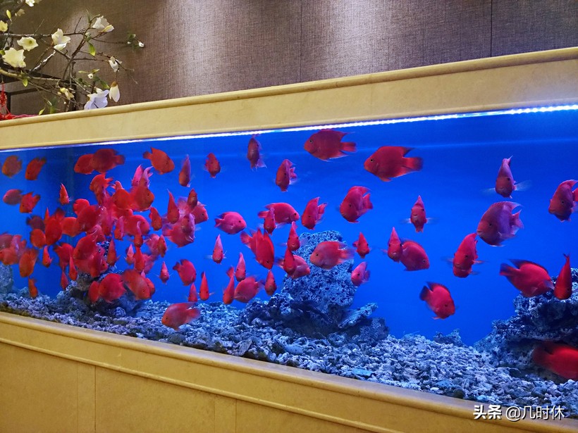 杭州有楼外楼和知味楼,杭州有几个知味观