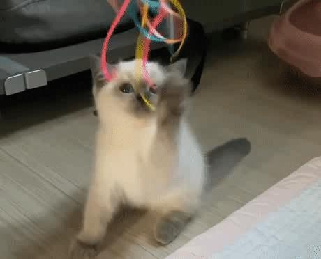 煤老板爆红完整版,煤老板ins