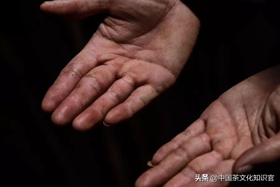 吃茶神兽,吃茶的动物