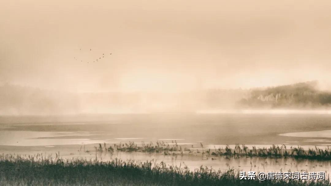 如何让生活变得有仪式感,生活的仪式感有哪些方式