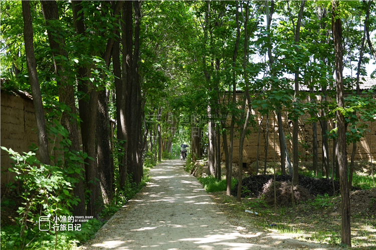 西安周边一日游推荐2022,西安附近旅游一日游推荐