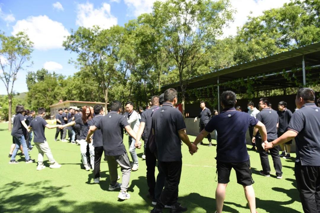 凌阳科技有限公司,凌阳科技单片机