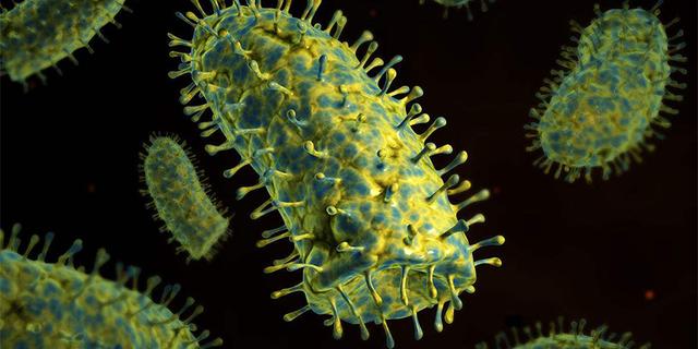 古代被狗咬后怎么治,古人如果被狗咬了怎么办