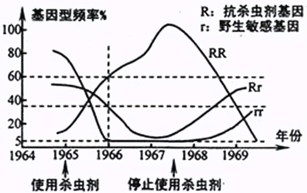 男女是如何产生下一代的,男女之间是怎样产生后代的