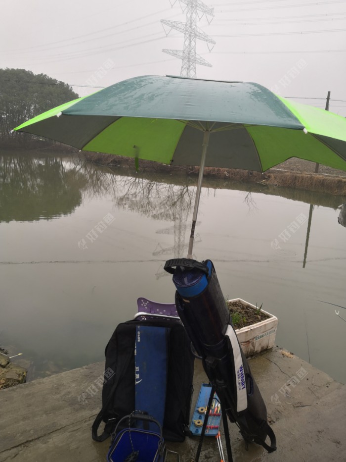 钓鱼新手来学习,钓鱼大师新手入门指南