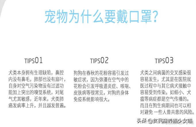 遛狗需要给狗戴口罩吗,疫情情况下遛狗需要给狗戴口罩吗