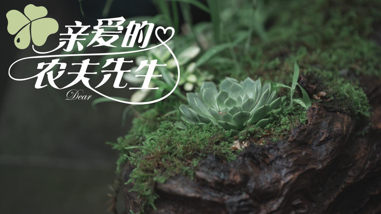 赵尧珂新剧来了！《亲爱的农夫先生》携手蓝博，甜度满分