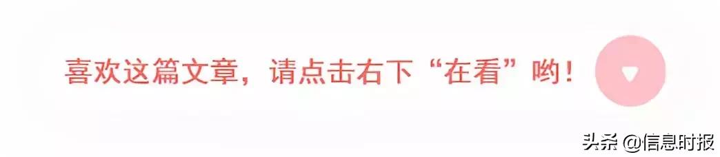 中华第一高楼广州宾馆,广州历史第一高楼