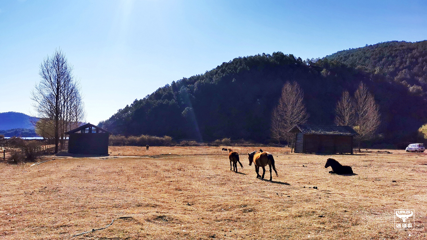 稻城亚丁至玛娜茶金如何走,四川木里县到玛娜茶金自驾