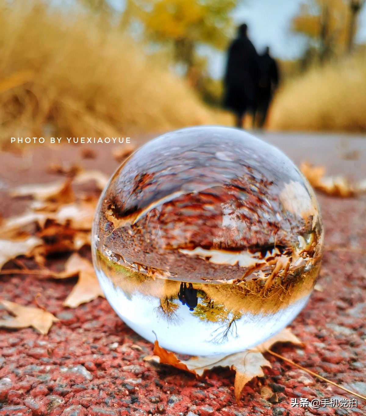 生活小妙招手机摄影,生活小妙招如何拍出爆款