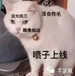 沙雕生成器完整视频,沙雕趣味生成器
