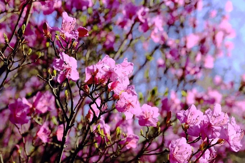 怀柔新闻最近消息,怀柔今年的新闻