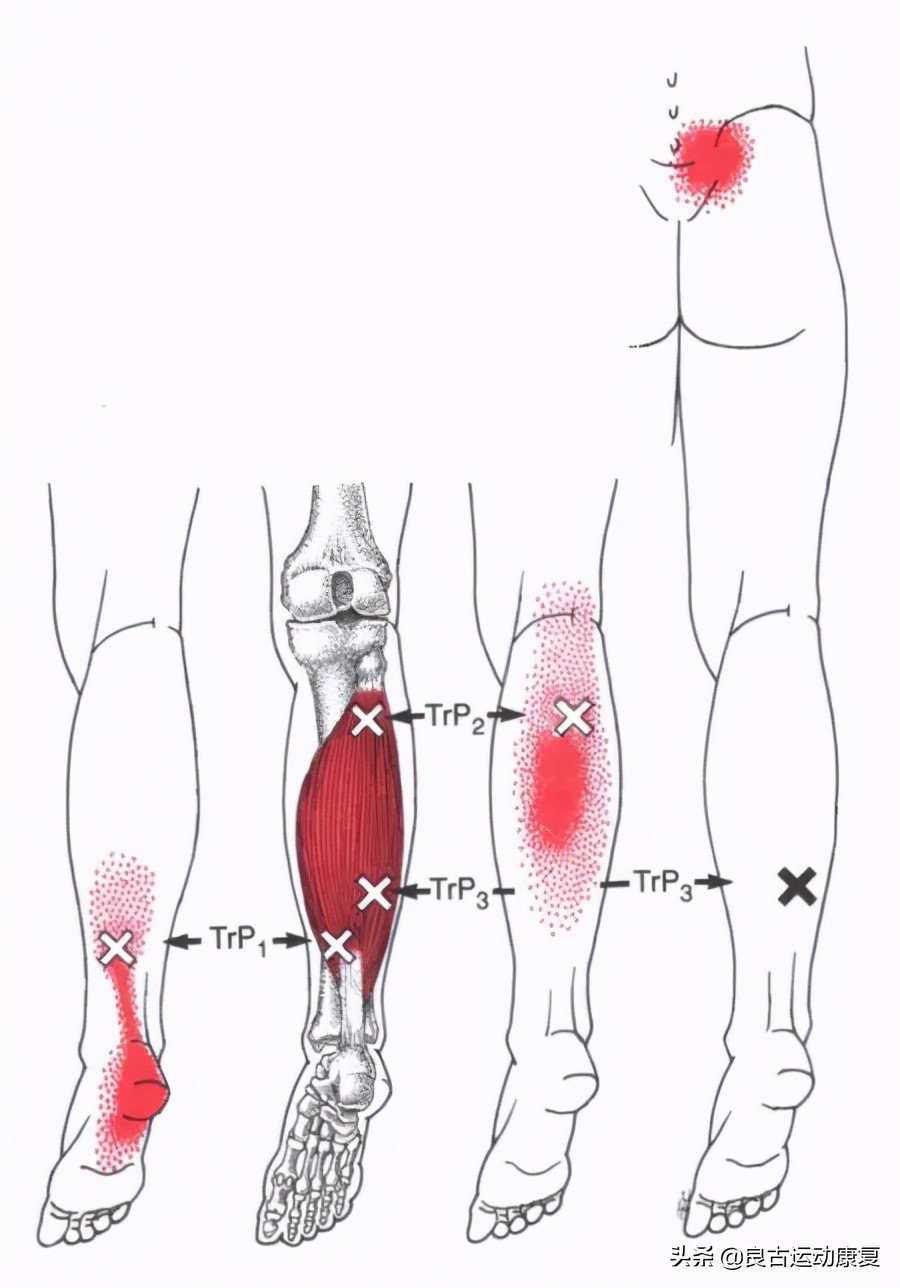 26张图教你提高效率,30张治愈效果图