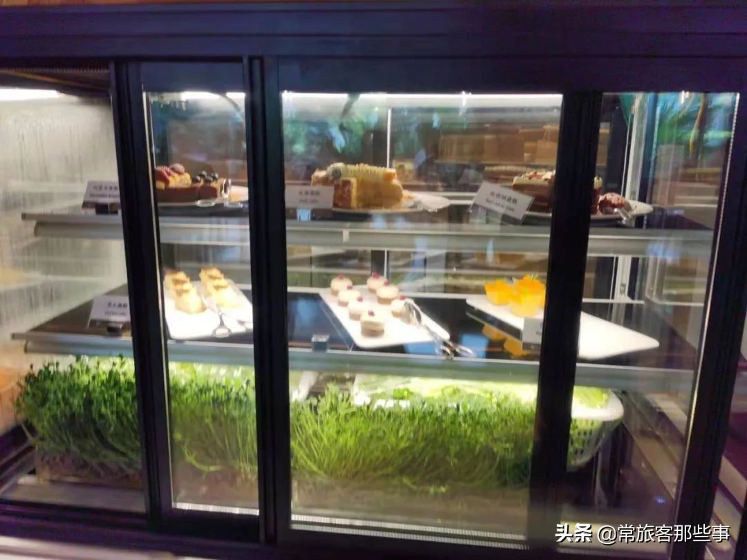 深圳机场贵宾厅攻略,深圳机场国内贵宾厅1号体验