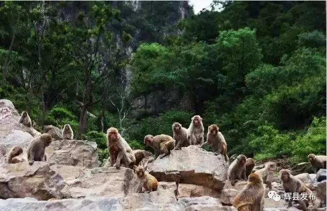 我能想到最美的地方,就是和你牵手走遍辉县的山山水水