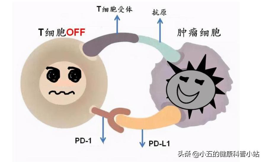维生素c可以随意服用吗,维生素C能随便吃吗