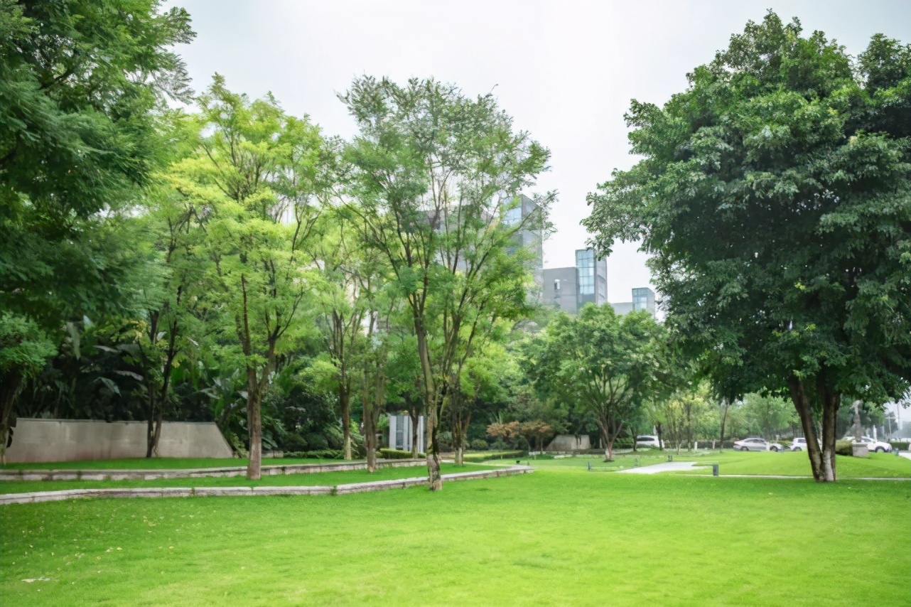 藏不住的宝藏,藏不住了秦岭里的西安宝藏美景