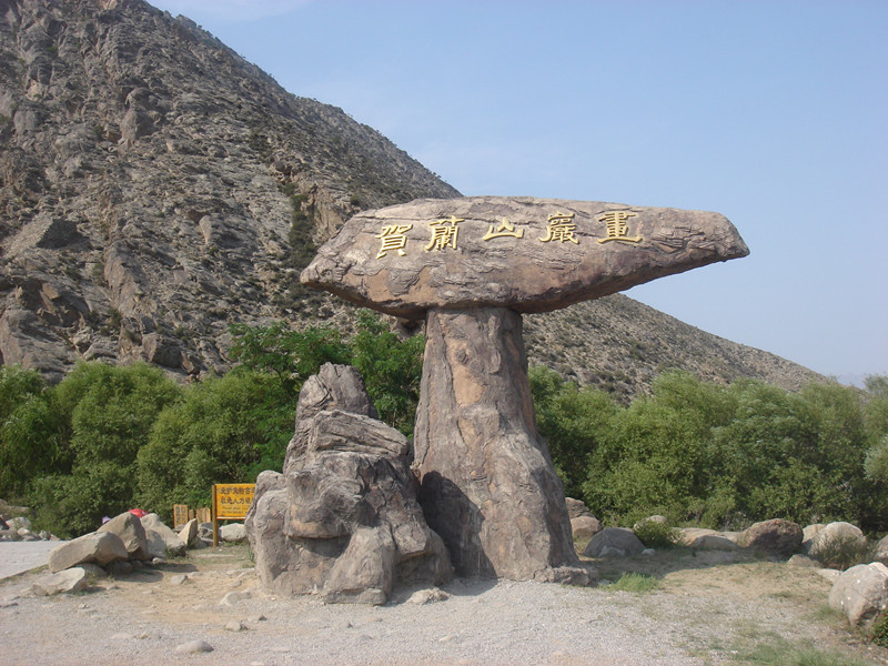 宁夏银川市西夏区,每天一县