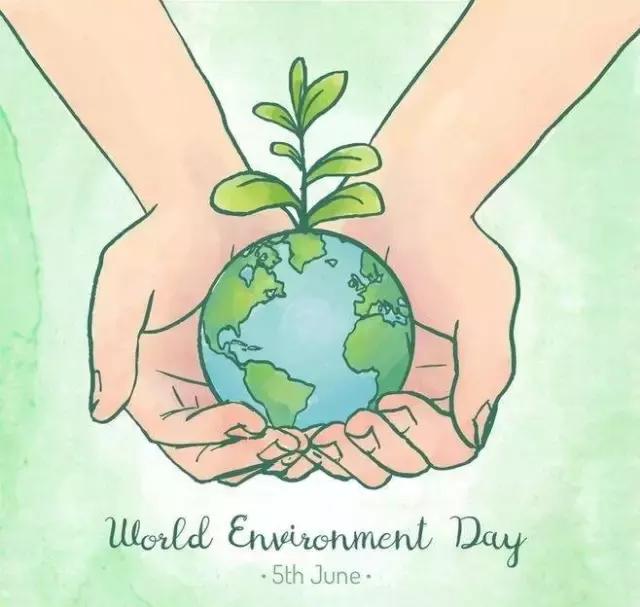 世界环境日我们该怎么做,世界环境日守护环境沃来当先