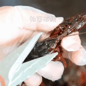 用最简单的食材做出美味的小龙虾,小龙虾怎么做才好吃家庭版的