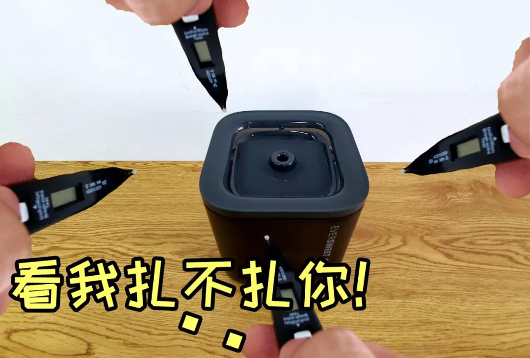 宠物饮水机“漏电”化身杨永信!你还敢让猫咪用它喝水吗?